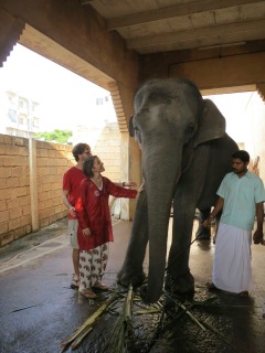 "Kontakt mit einem großen Lehrmeister (Indien)", Karin Kramer