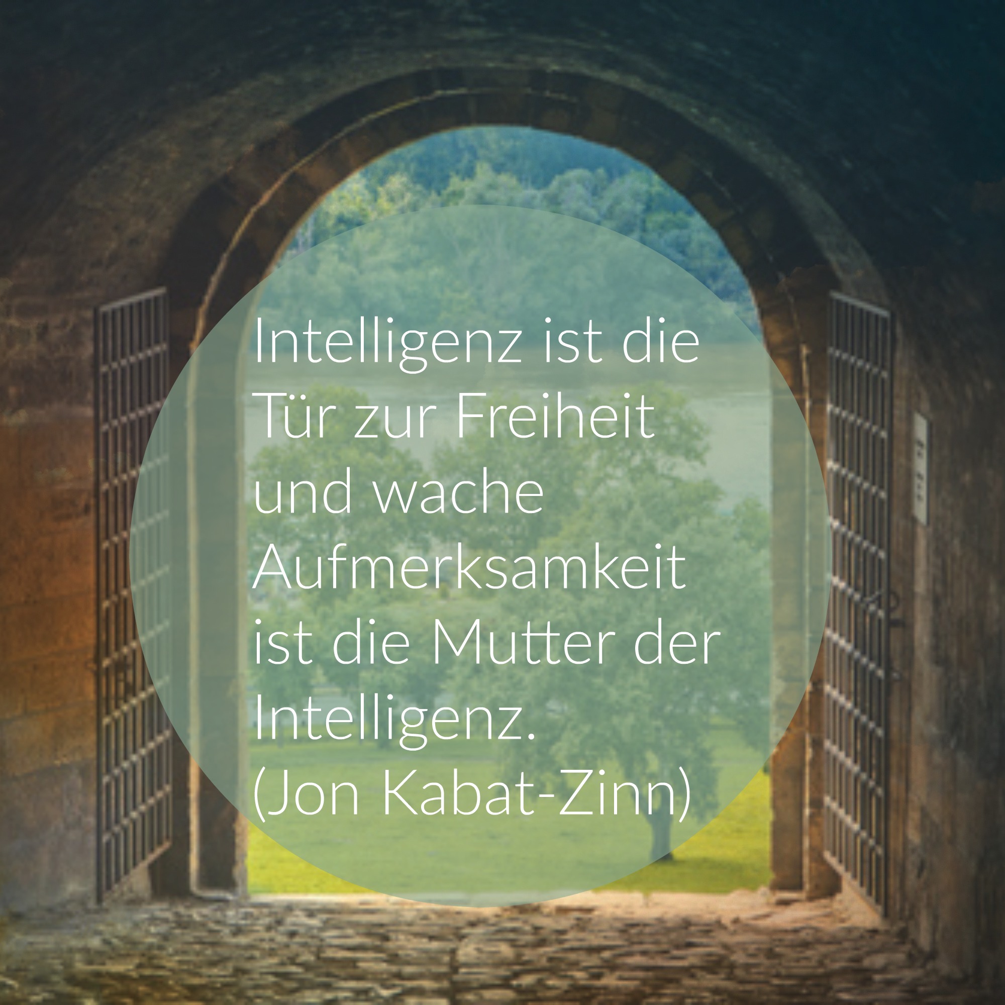 Macht Intelligenz glücklich? Und was sagt der IQ über Intelligenz aus?