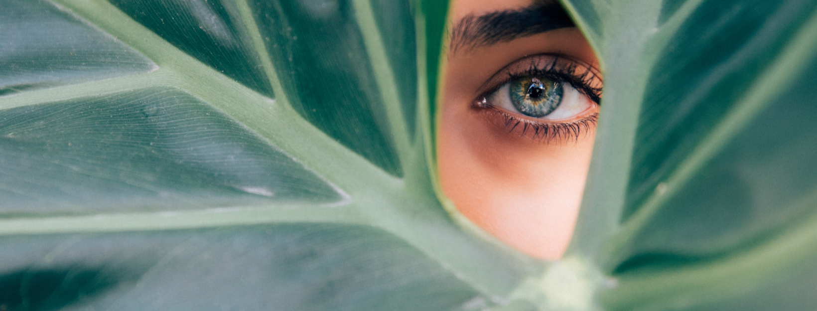 3 Dinge, die Sie über EMDR wissen sollten Psychotherapie und EMDR