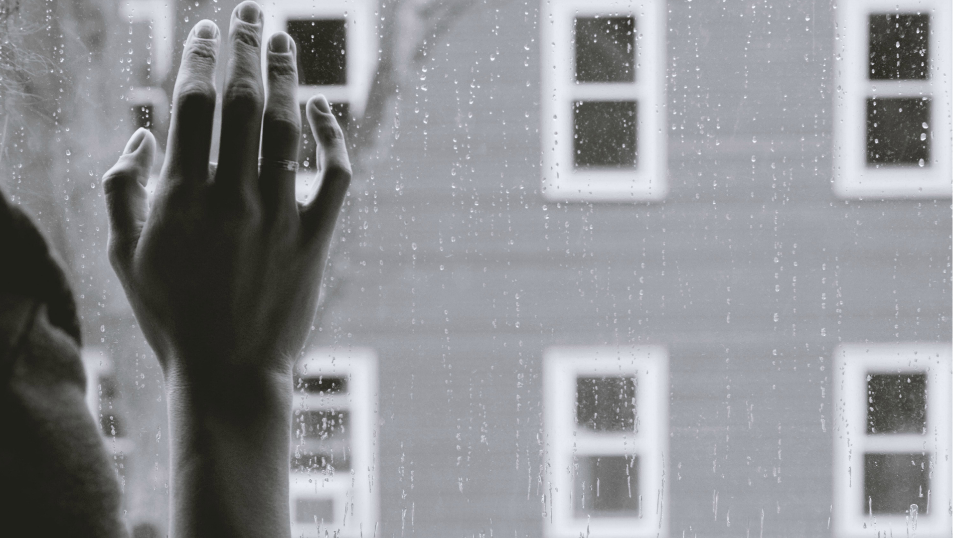 Erlernte Hilflosigkeit und warum wir gegensteuern sollten Claudia Frey